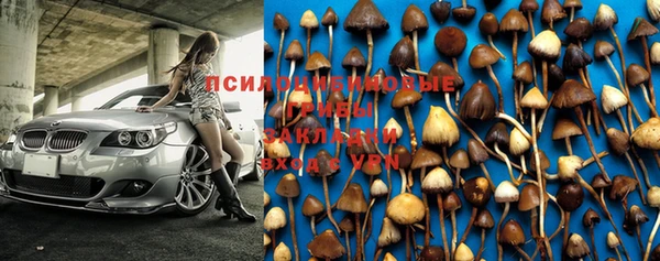 дживик Майский