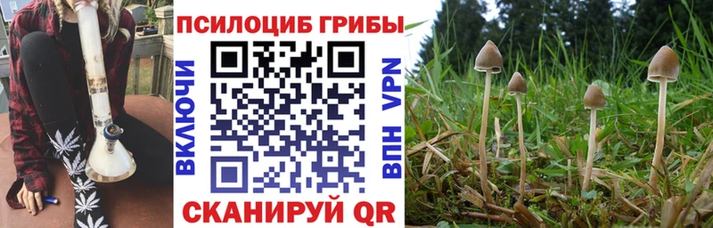 купить наркоту Кораблино Псилоцибиновые грибы Psilocybe